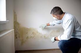 Best Real Estate Mold Inspection in Roswell, GA